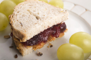 Peanut Butter and Jelly Sandwich