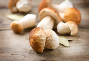 Mushroom Boletus over Wooden Background. Autumn Cep Mushrooms
