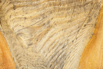 Wood texture macro