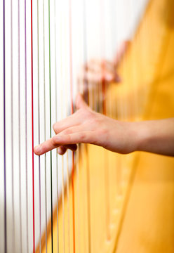 Male Hands Playing Harp