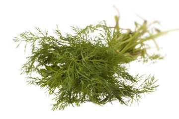fresh dill isolated on a white background