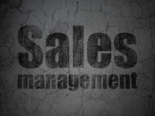 Marketing concept: Sales Management on grunge wall background