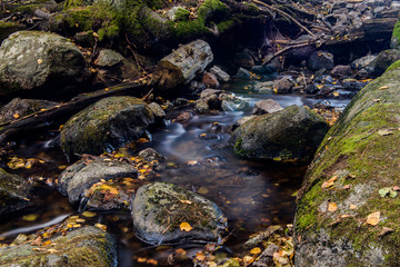 Autumn creak with leavs and slow water