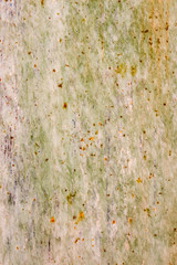 multicolored background image