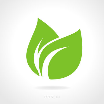 Eco green leaf concept