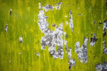 Old olive Stucco background