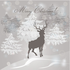 Vector Set: Christmas Calligraphic Design Elements, Frames