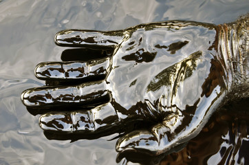 Oil