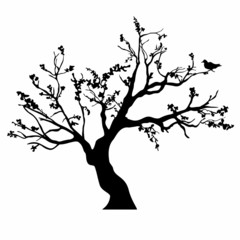 Tree silhouettes. - 58457699