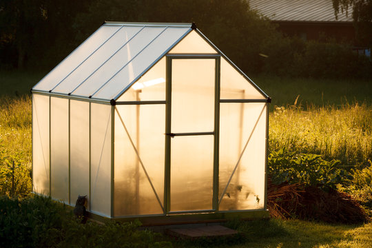 Small greenhouse in backyard