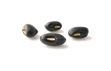 Beans isolated on white background