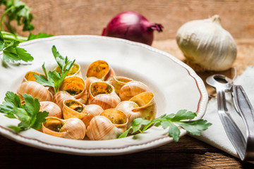 Homemade baked snails with garlic butter and fresh herbs
