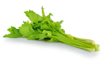 Celery on white background