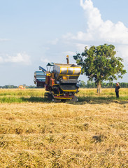 Obraz premium Harvest vehicle