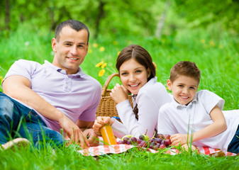 Happy family of three has picnic in park