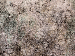 Obraz premium grunge wall