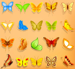 Set of realistic vector butterflies
