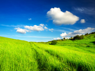 Beautiful landscape in the summer time.