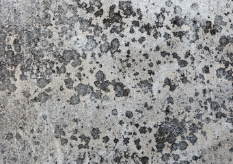 concrete texture