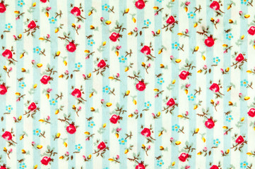 texture and background fabric.