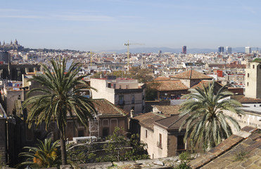 Rooftop view from Barcelona Cathedral. Spain