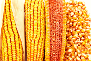 Yellow ripe corn