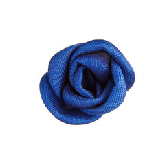 flower isolated on white