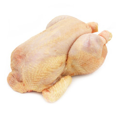 Fresh chicken - fresh hen