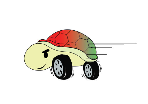Turtle racing