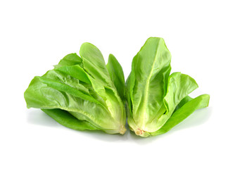 Baby Cos lettuce.