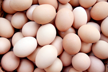 Stack of fresh egg Container box.