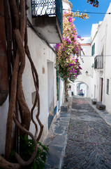 Streets plants and  arcs inside Cadaques town