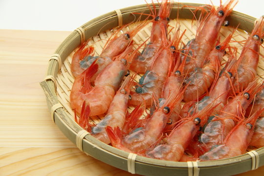 甘海老