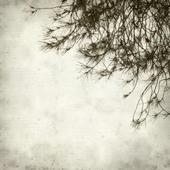 Obraz premium textured old paper background