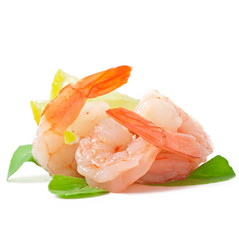 tail of shrimp with fresh lemon and rosemary on the white