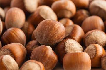 Hazelnuts close up
