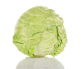 White cabbage