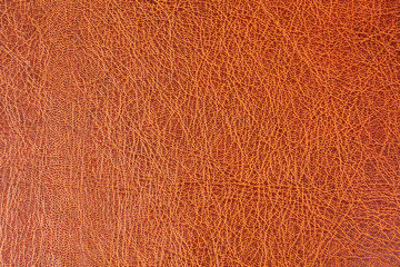 Skin texture background