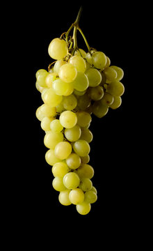 Bunch of white grapes