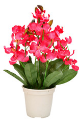 artificial of blossom orchid flowers bouquet isolated on white b