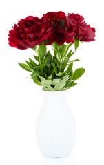 Obraz premium Beautiful peonies isolated on white