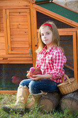breeder hens kid girl rancher farmer with chicks in chicken coop © lunamarina