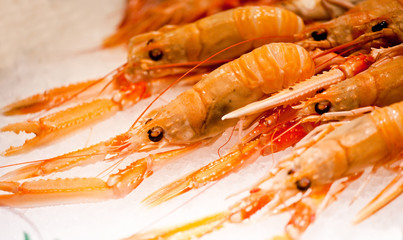 Bright lobsters laying on ice in the store