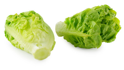 lettuce on white background