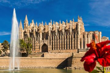 Kathedrale "La Seu" - Palma de Mallorca - 6703 © Wolfgang Jargstorff