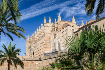 Obraz premium Kathedrale 