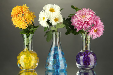 Beautiful flowers in vases with hydrogel