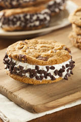 Chocolate Chip Cookie Ice Cream Sandiwch