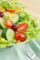 Fresh vegetable salad