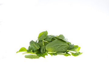 spinach isolated on white background